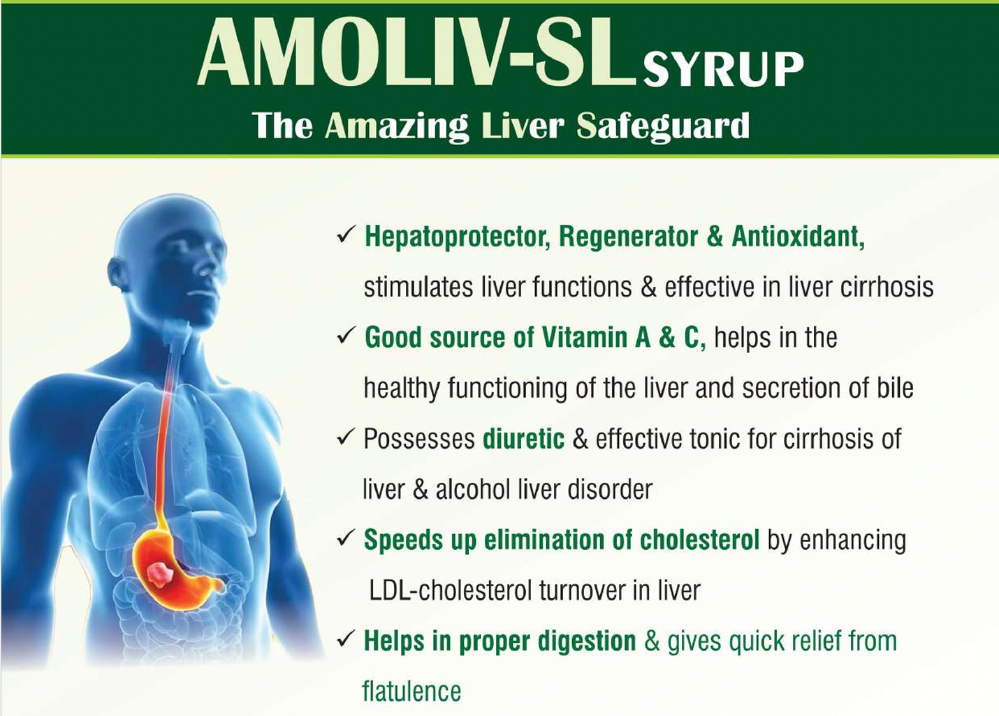 Amoliv-SL Advanced Liver Support Formula Nutritional Supplement